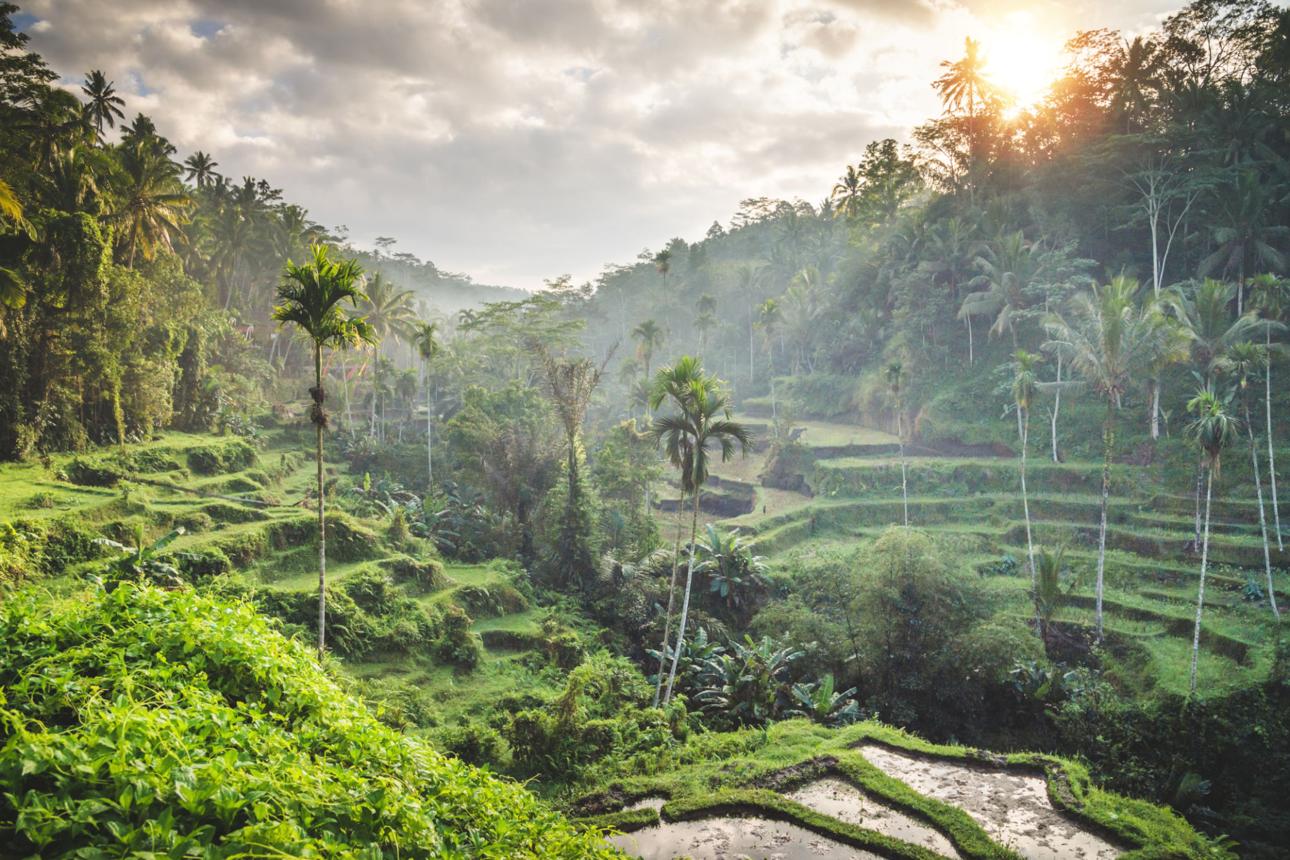 Southeast Asia